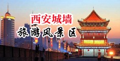 美女美穴仑库中国陕西-西安城墙旅游风景区
